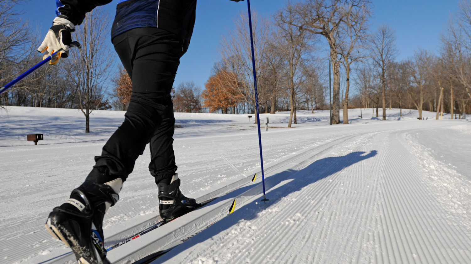 Лыжня Каменка. Рамка лыжи. Размеры Лыжни классического хода. Лыжники в шортах марафон.
